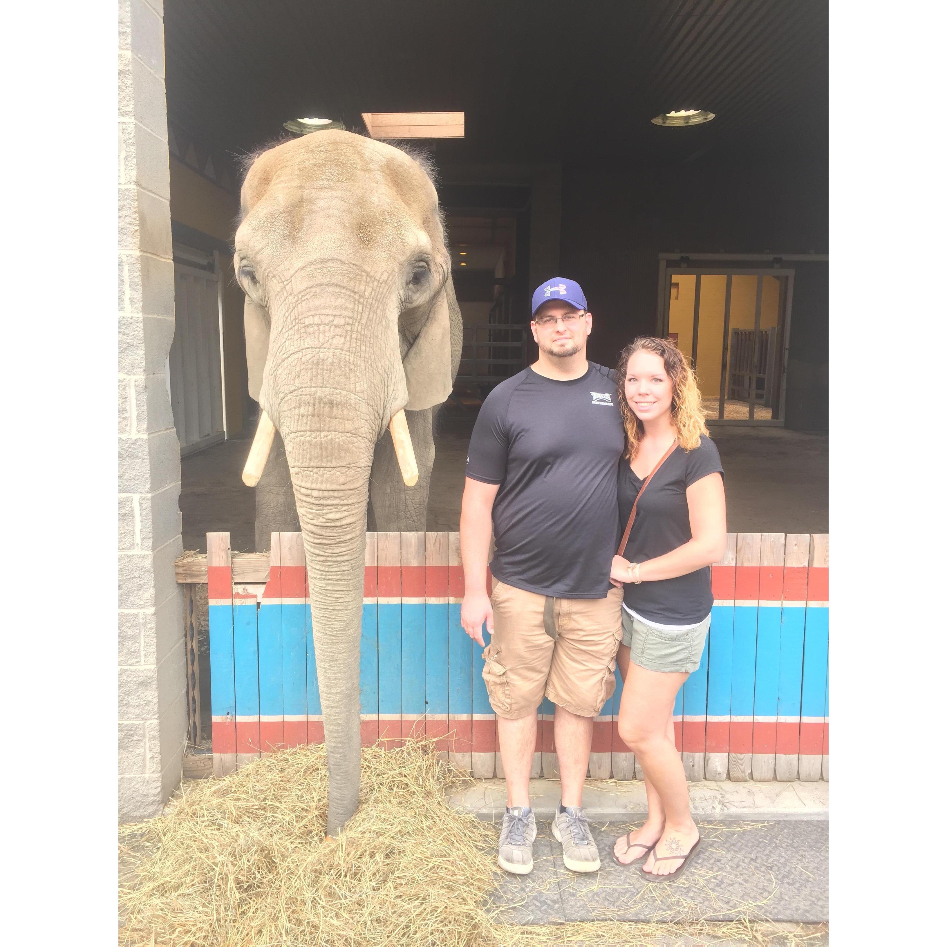One of our annual zoo trips