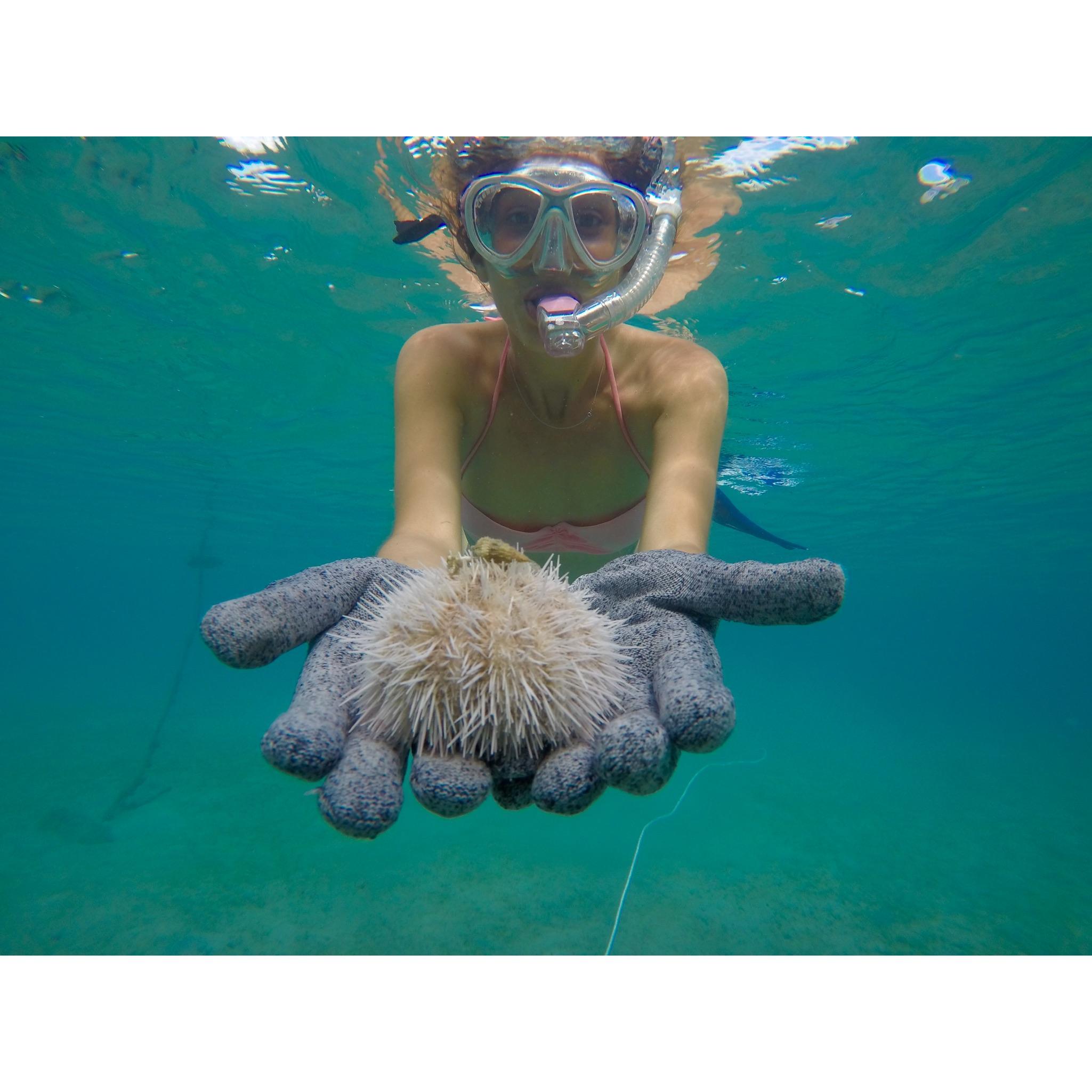 Sara and a sea urchin