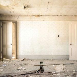 🏡 Nest-Building Fund/ House Remodeling Fund