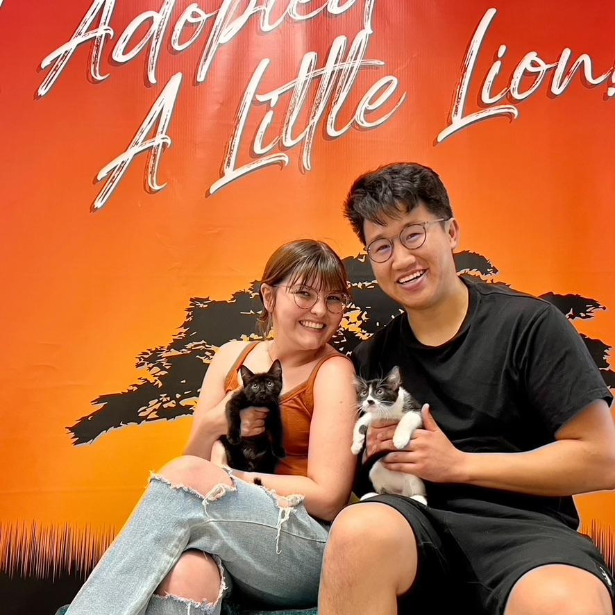The day we got our baby boys Harry & Lionel - June 2022