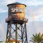 Disney Springs