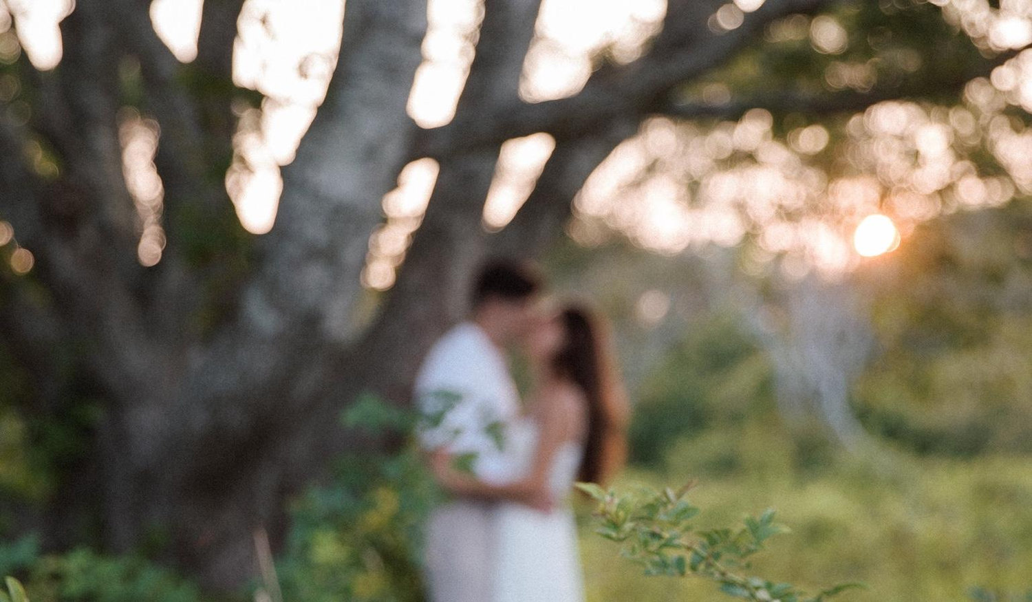 The Wedding Website of Kaitlyn Loren Cook and Christian Mark LaBrie