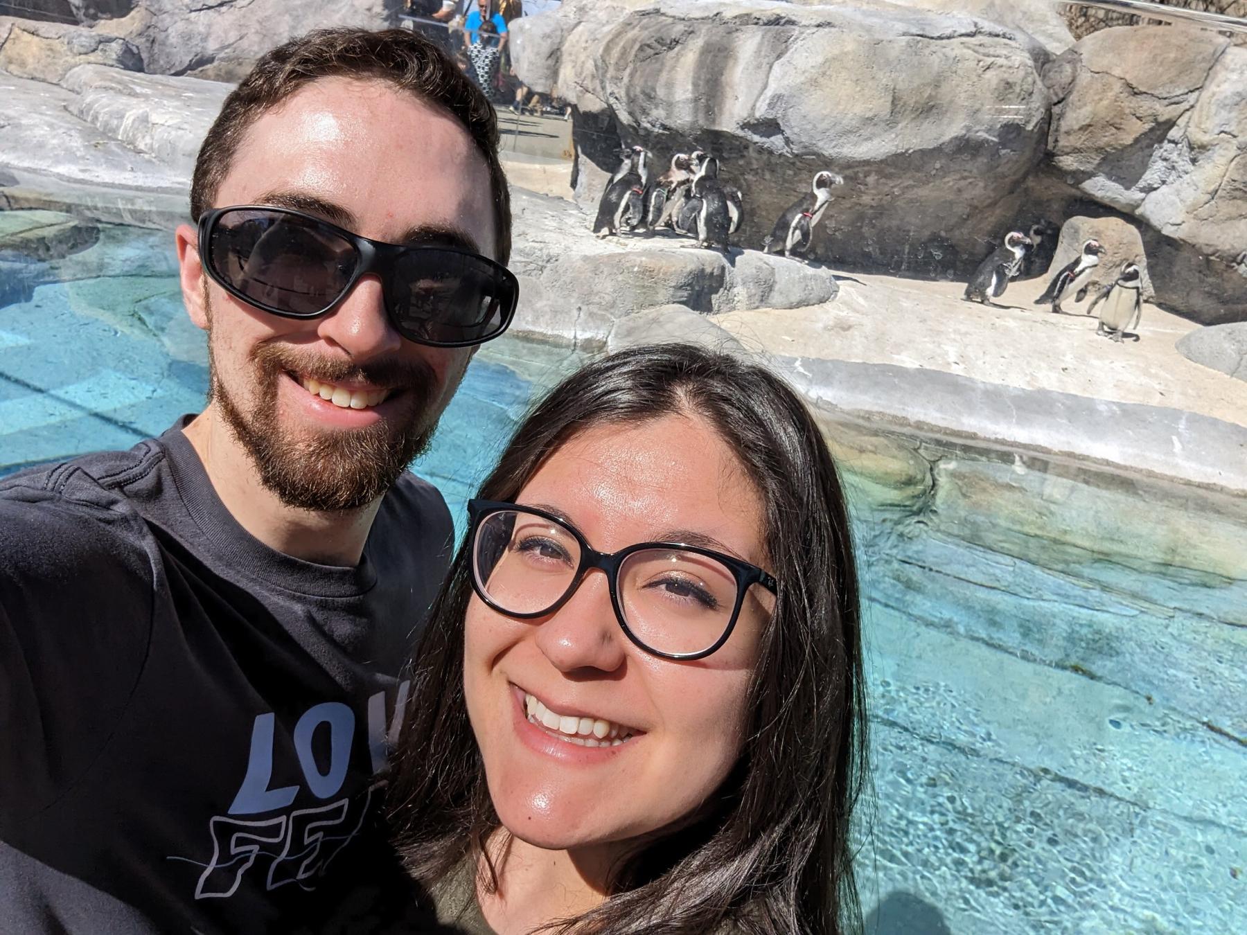 The handsome penguins behind us