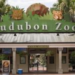 Audubon Zoo