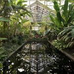 Garfield Park Conservatory