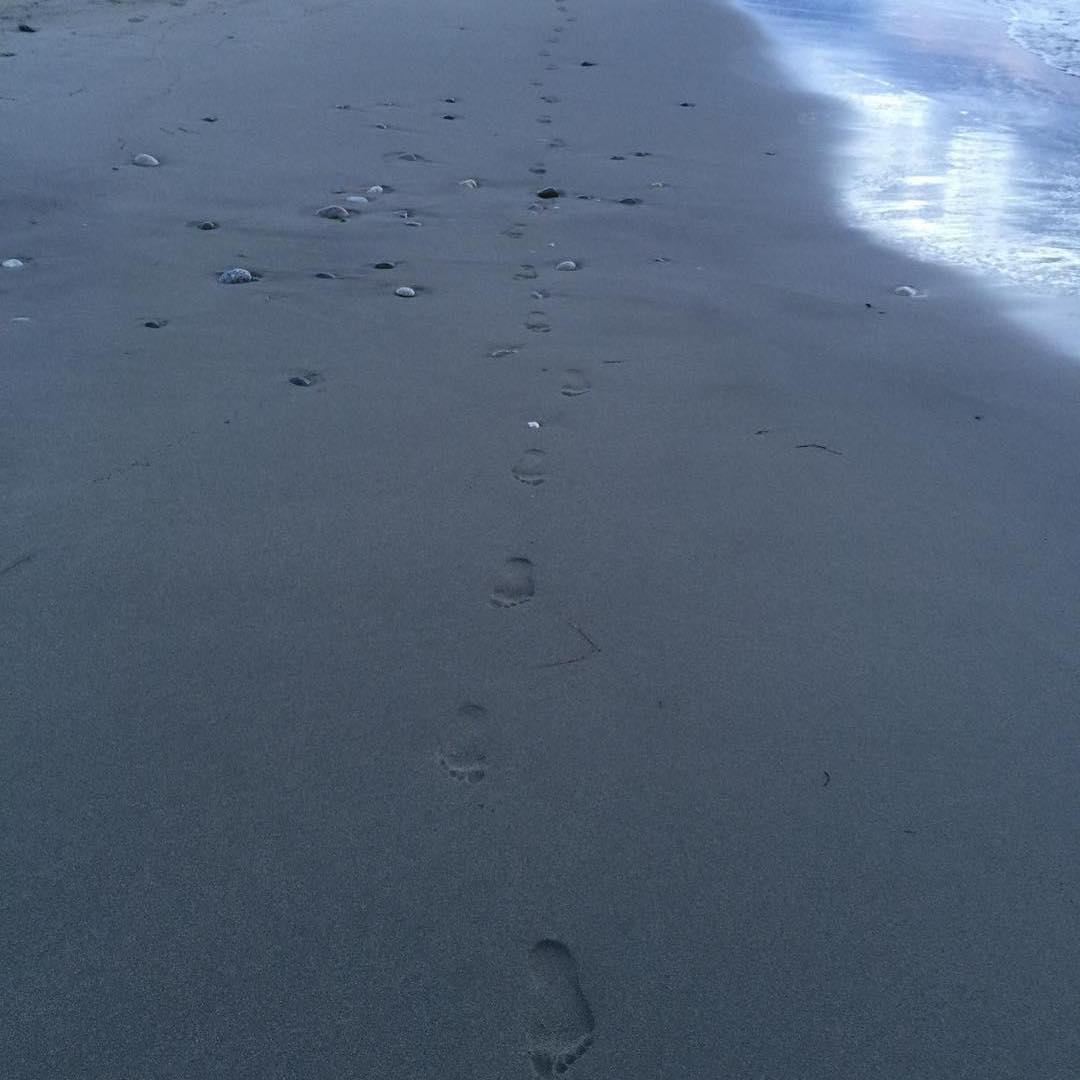 West Beach. Oak Harbor, WA.