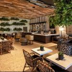Bavaro Coffee