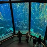 Monterey Bay Aquarium