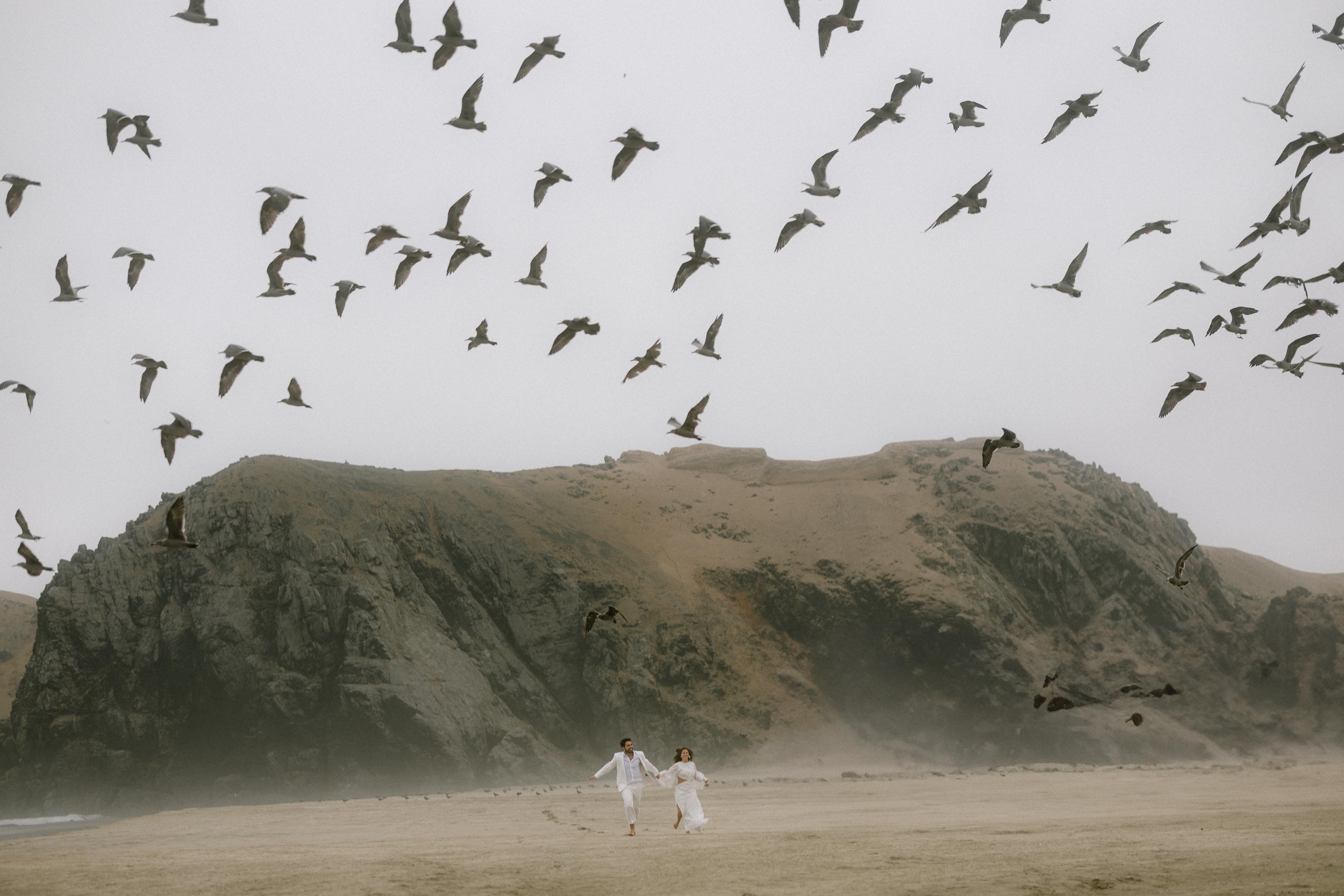 The Wedding Website of Daphne Otarola and Juan Camilo Romero