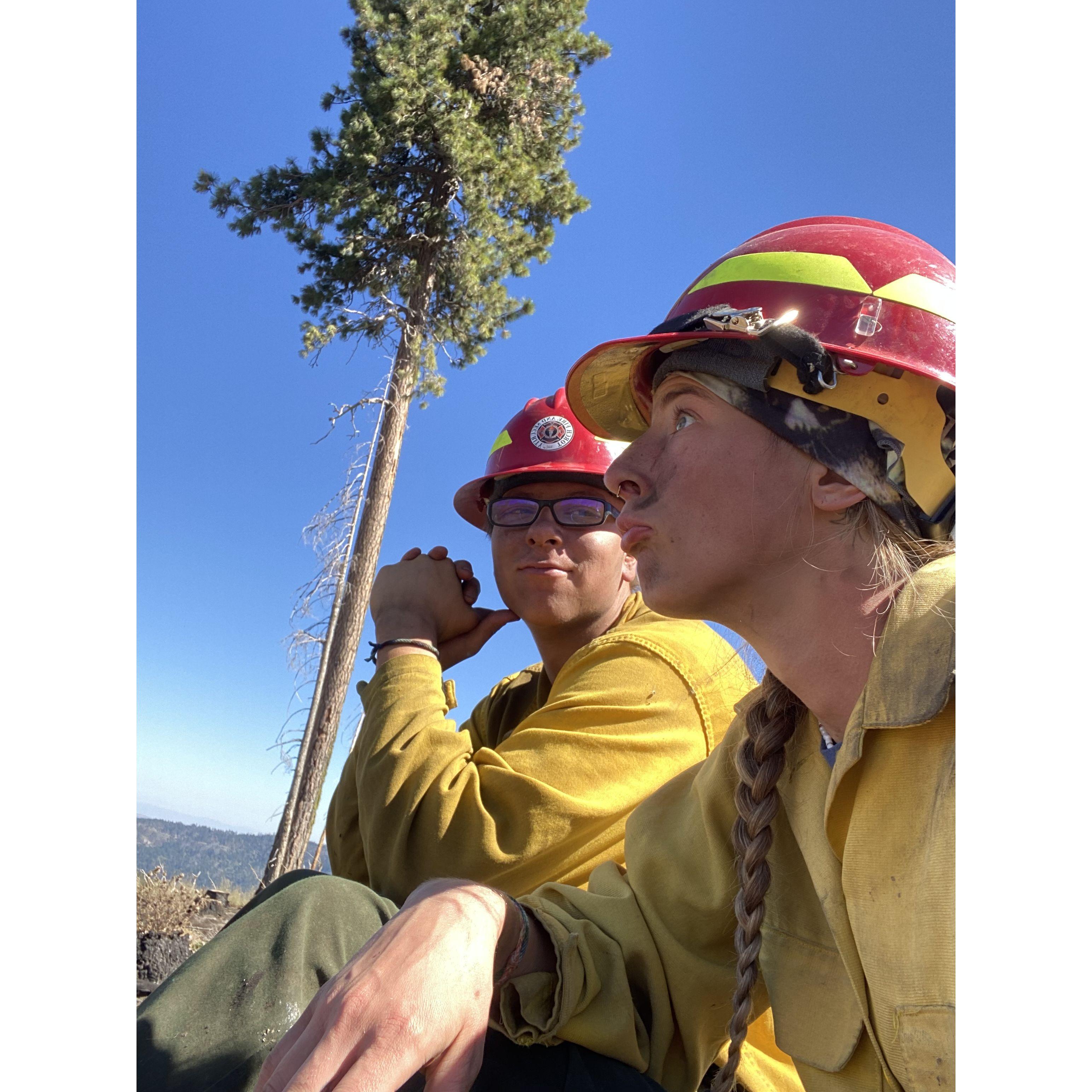 wildland fire fighting