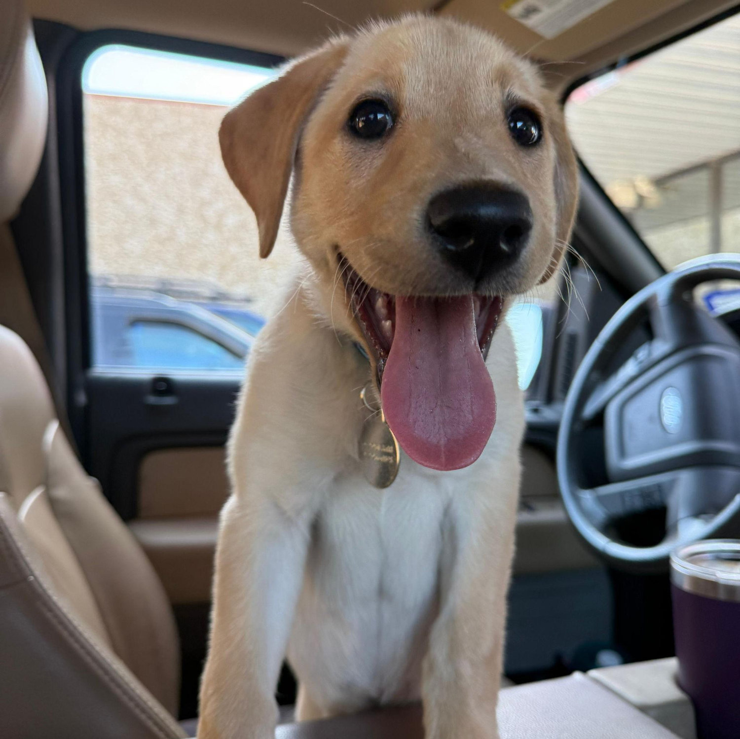 Chloe