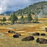 Yellowstone National Park