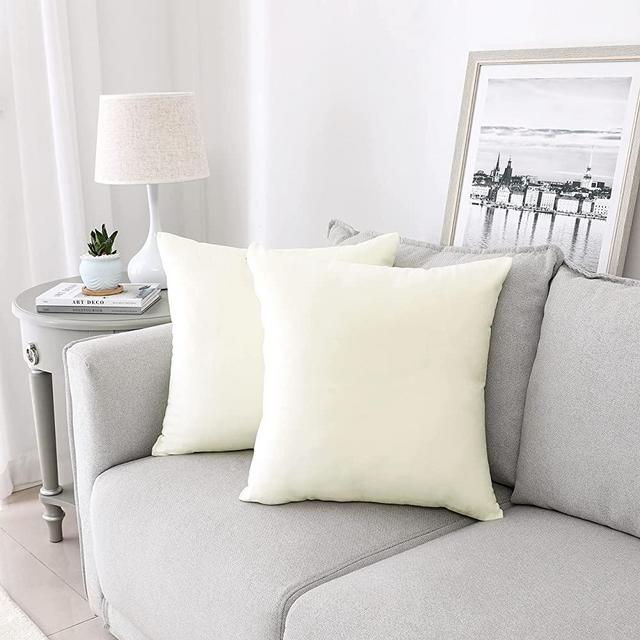 NiNi ALL Decorative Throw Pillow Covers Velvet Soft for Couch Sofa Bedroom Living Room Outdoor Pack of 2 18x18 Inch Cream White
