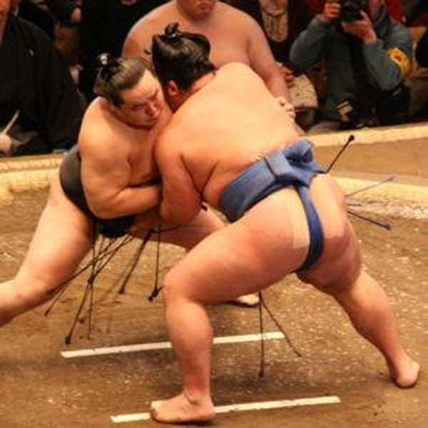 Tokyo Sumo Wrestling