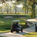 Black Bear Golf Club