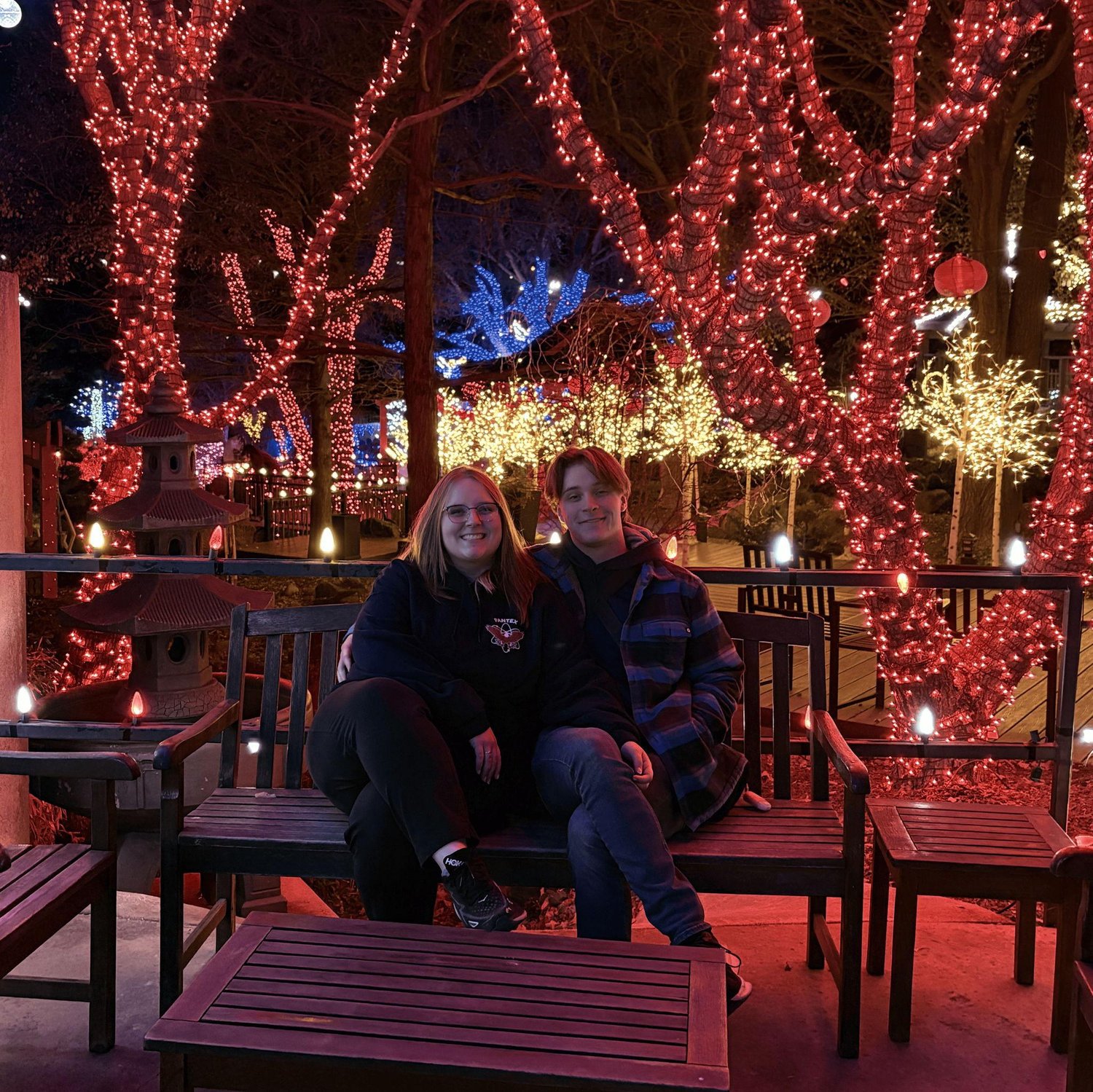 Christmas lights at the Botanical Gardens!