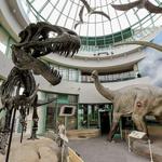 North Carolina Museum of Natural Sciences