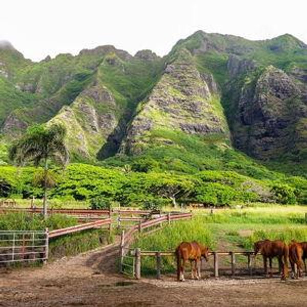 Kualoa Ranch UTV Experience