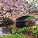 Charles River Esplanade