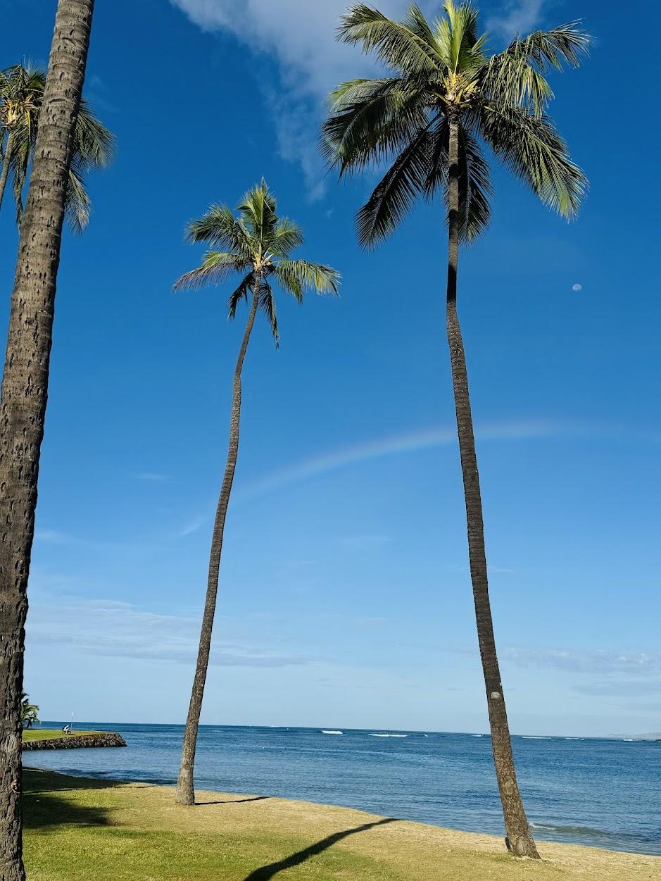 The Wedding Website of Samantha Kause and Ashley Tan