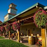South Coast Winery Resort & Spa
