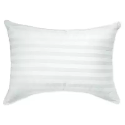 SALT™ Cotton Standard/Queen Bed Pillow