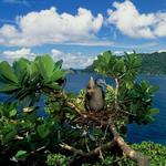 Cabo Blanco Nature Reserve