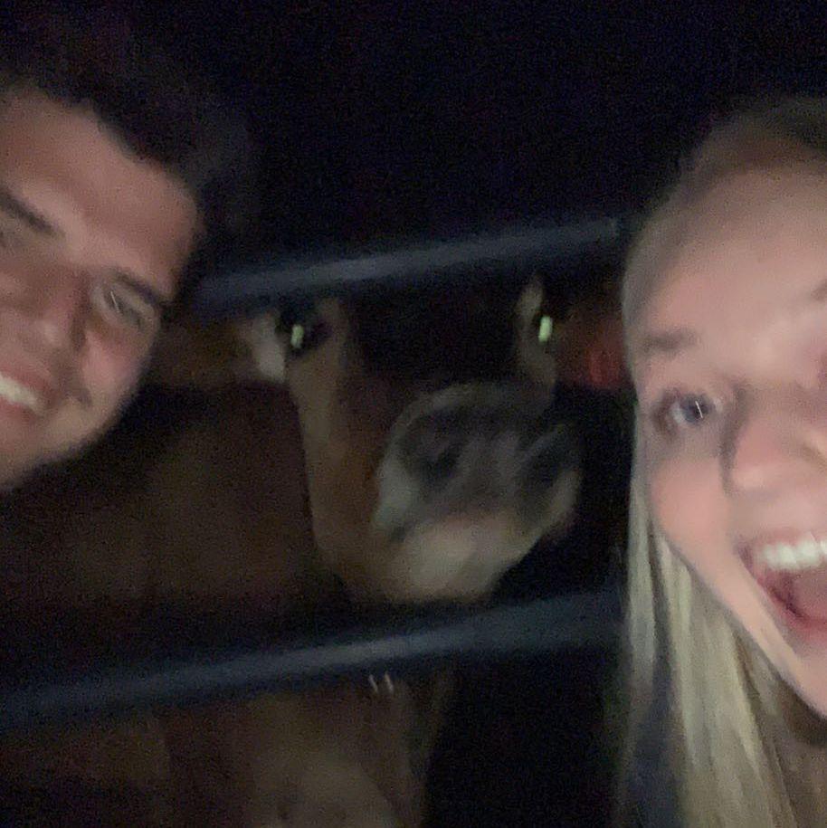 For our first date we got ice cream at Young's Dairy Barn and looked at cows. We ended the night with this high quality picture.