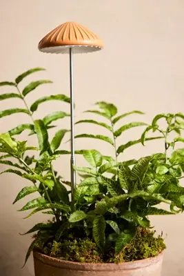 Mushroom LED Grow Light