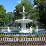 THINGS TO DO: Forsyth Park