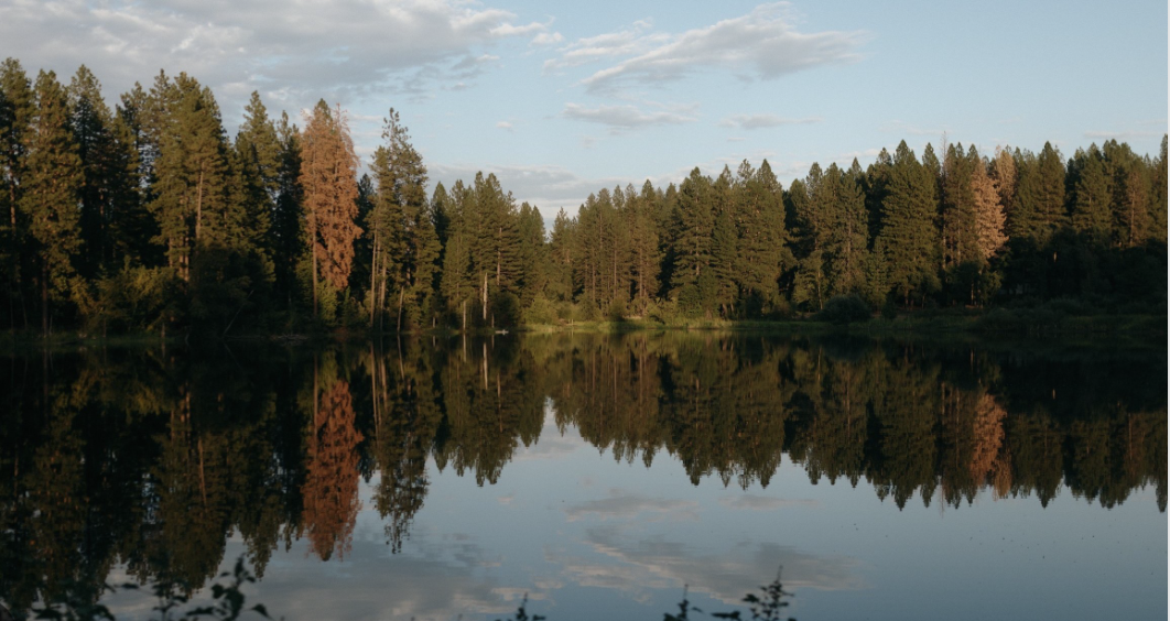 The Wedding Website of Stephanie Michelle Sánchez and Richard Muñoz