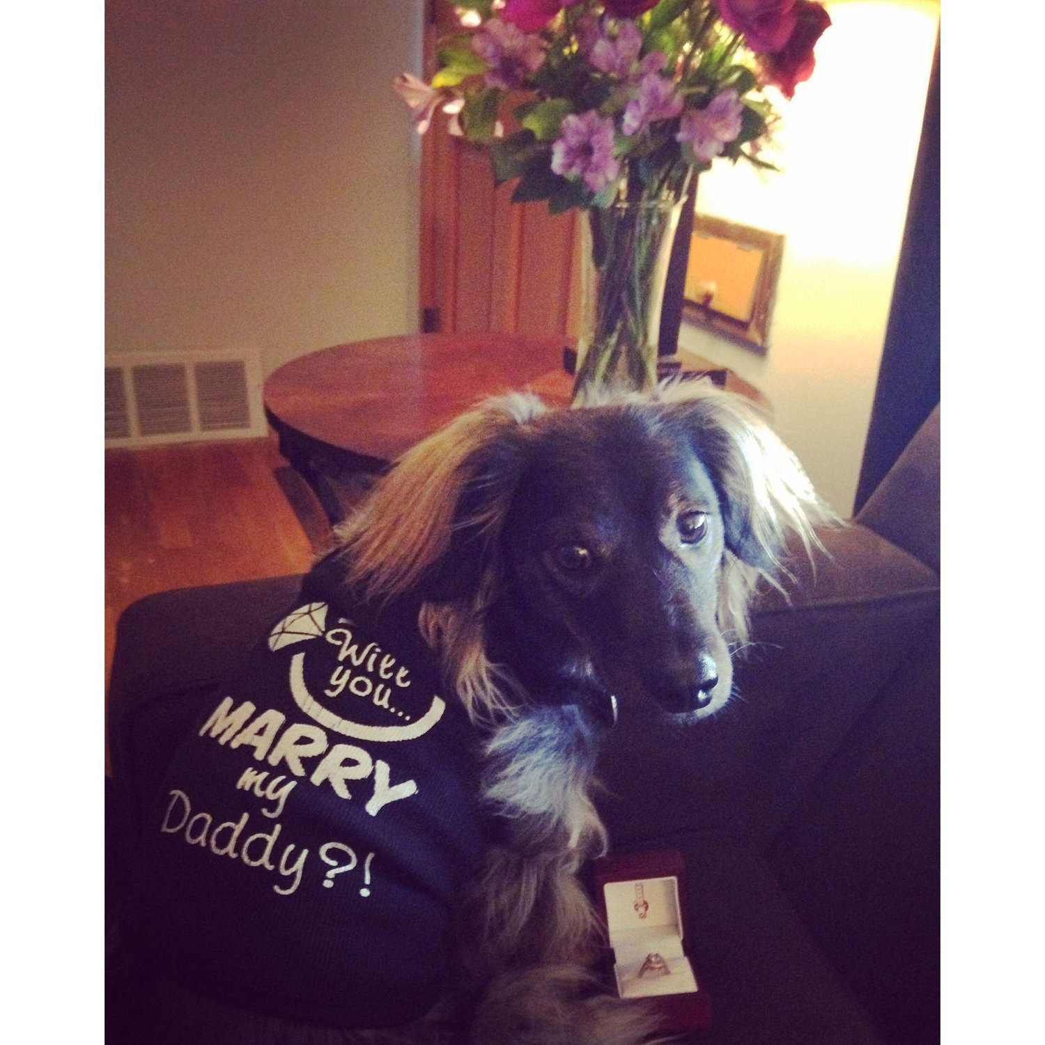 Of course Woody had to be included in the proposal!