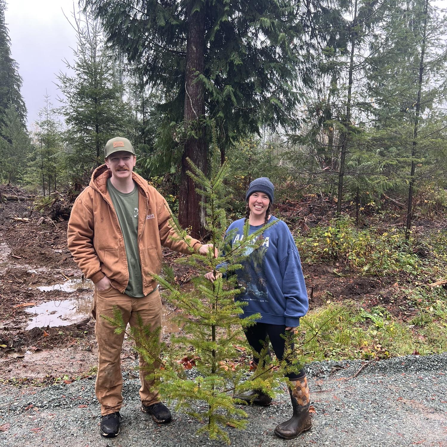 Our first Charlie Brown Christmas tree from
David & Madi’s property!