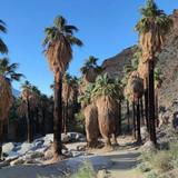 Indian Canyons