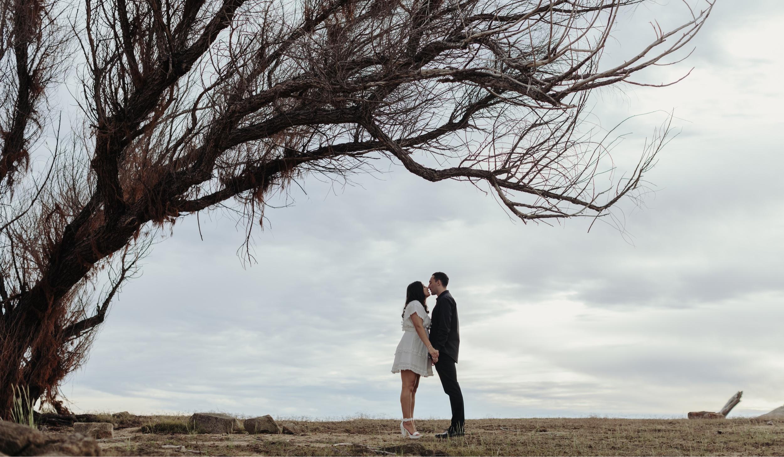 The Wedding Website of Jessica McDonald and Tanner Alves