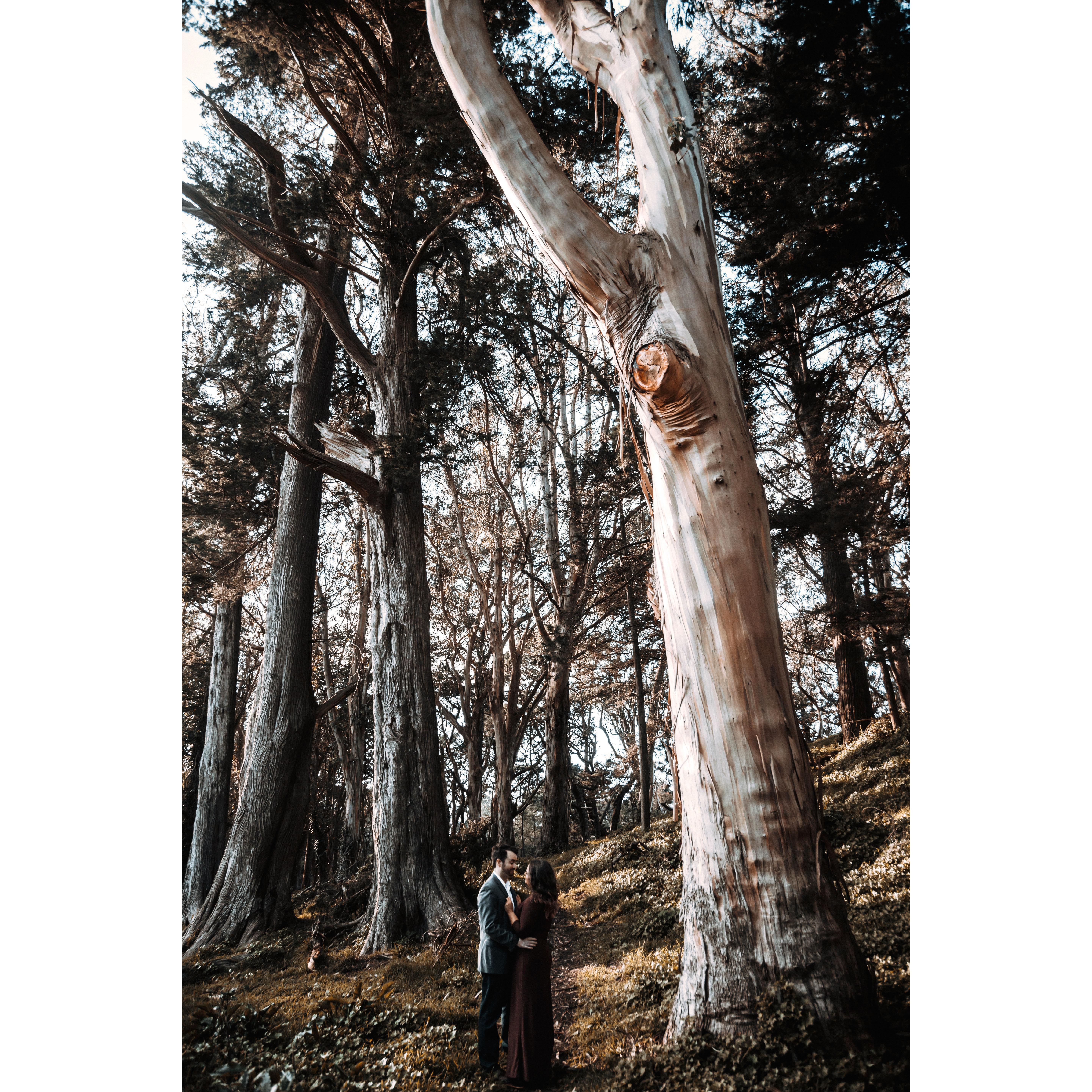 Engagement photos at Lloyd Lake in Golden Gate Park.