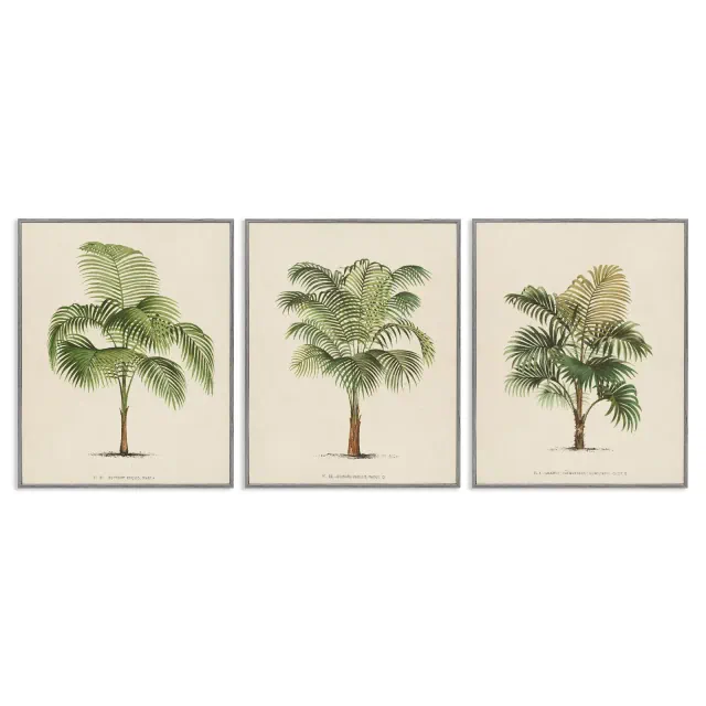 Stupell Industries Les Palmiers Botanical Trio 3pc Framed Giclee Art Set, Gray, 16" x 20"