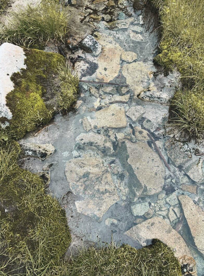 The clearest water I have ever seen???