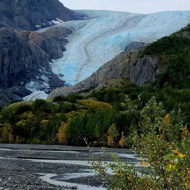 Glacier Excursion