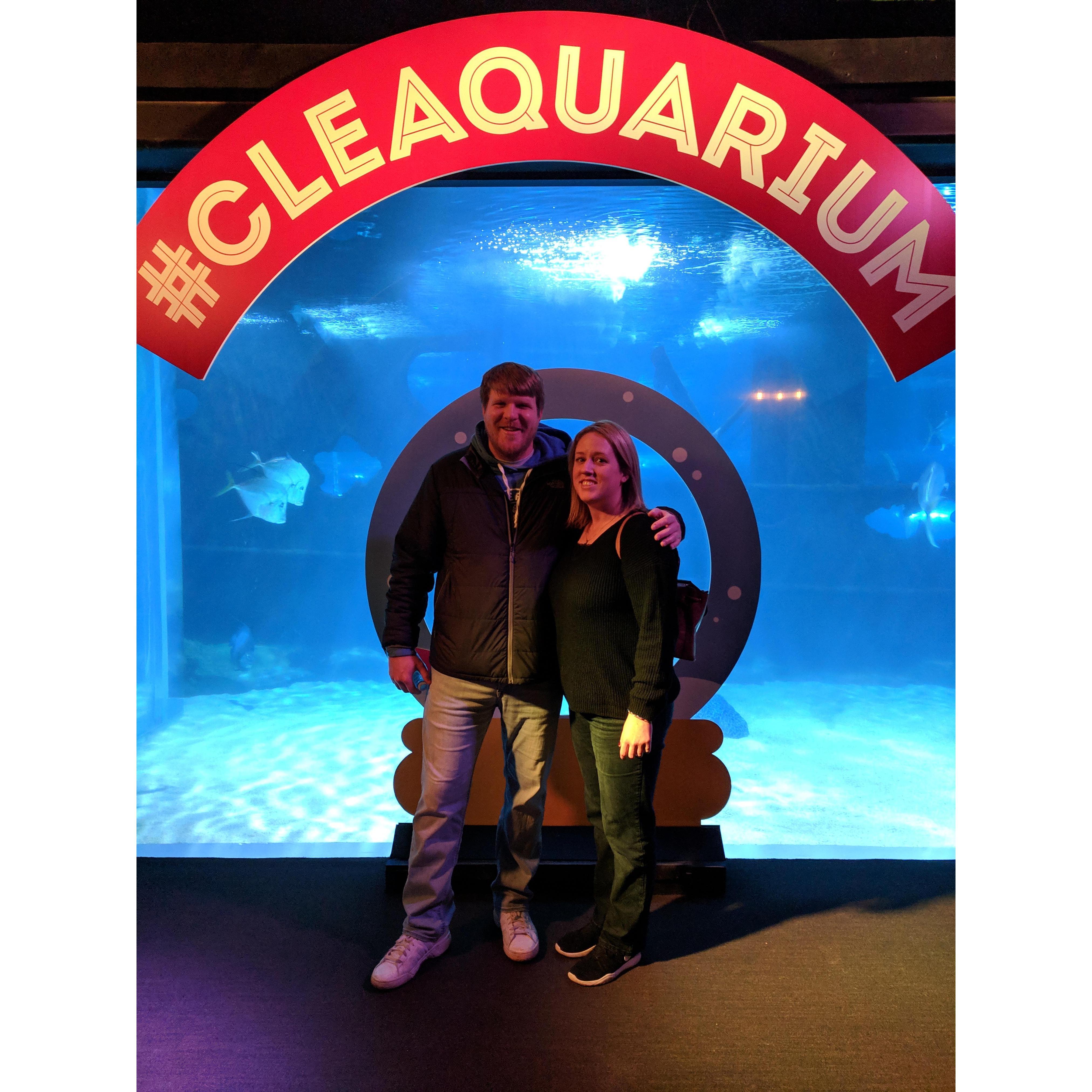 Our trip to the Cleveland Aquarium! We had so much fun!