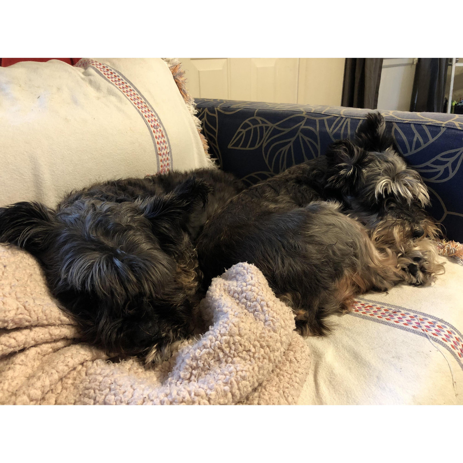 Gertie & Lana