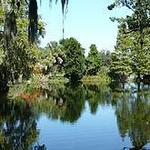 Magnolia Plantation and Gardens