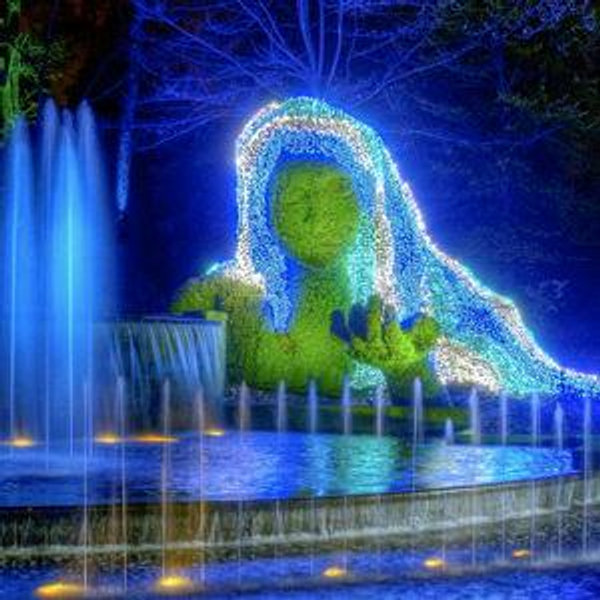 Atlanta Botanical Gardens Annual Membership