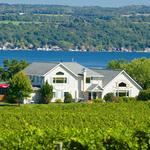 Thirsty Owl Wine Company