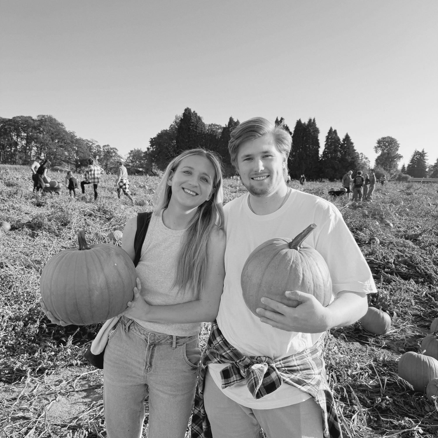 Pumpkin patch 2024