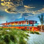 Fins At Sharky's