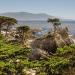 17 Mile Drive