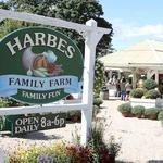 Harbes Family Farm - Mattituck