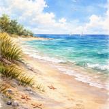 DeBordieu Beach