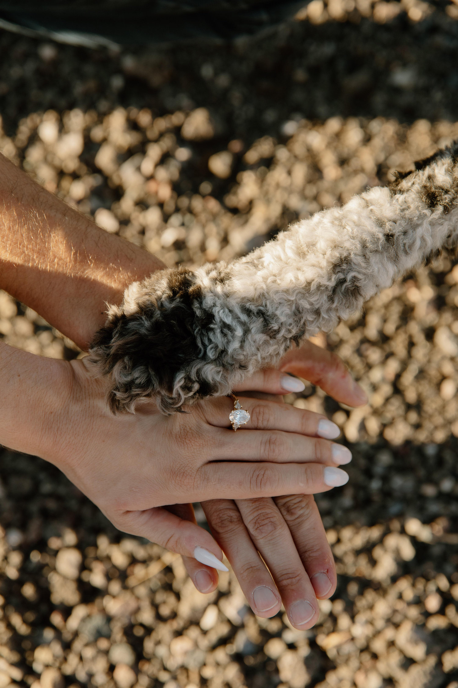 The Wedding Website of Zoey Goralski and Casey McGuire
